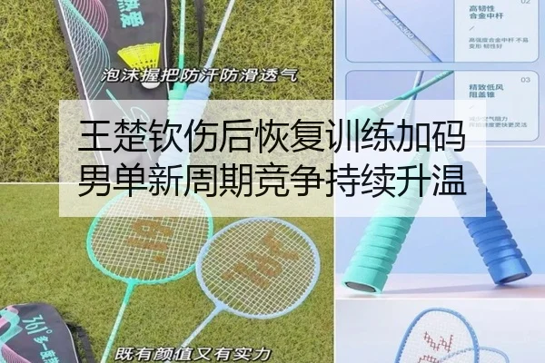 王楚钦伤后恢复训练加码 男单新周期竞争持续升温